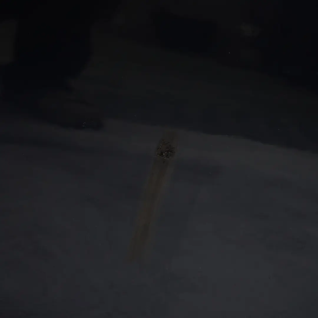 Tür vorne rechts Verkleidungsplatte F22 F23 Midnight Blue Metallic - B38 für BMW F21 mit Teilenummer 7298044 BMW F21 Tür vorne rechts Verkleidungsplatte F22 F23 Midnight Blue Metallic - B38 - SKU 7298044-MBM - Teilenummer 7298044