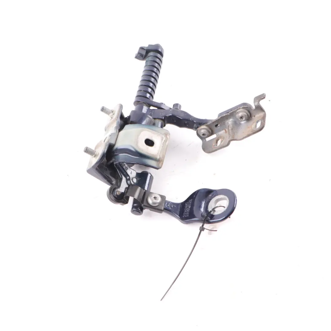 Trunk Lid Tailgate Hinge Rear Left N/S Tanzanite Blue - X10 7263157 to BMW F31 with Part number 7298069 BMW F31 Trunk Lid Tailgate Hinge Rear Left N/S Tanzanite Blue - X10 7263157 - SKU 7298069-TAN - Part number 7298069