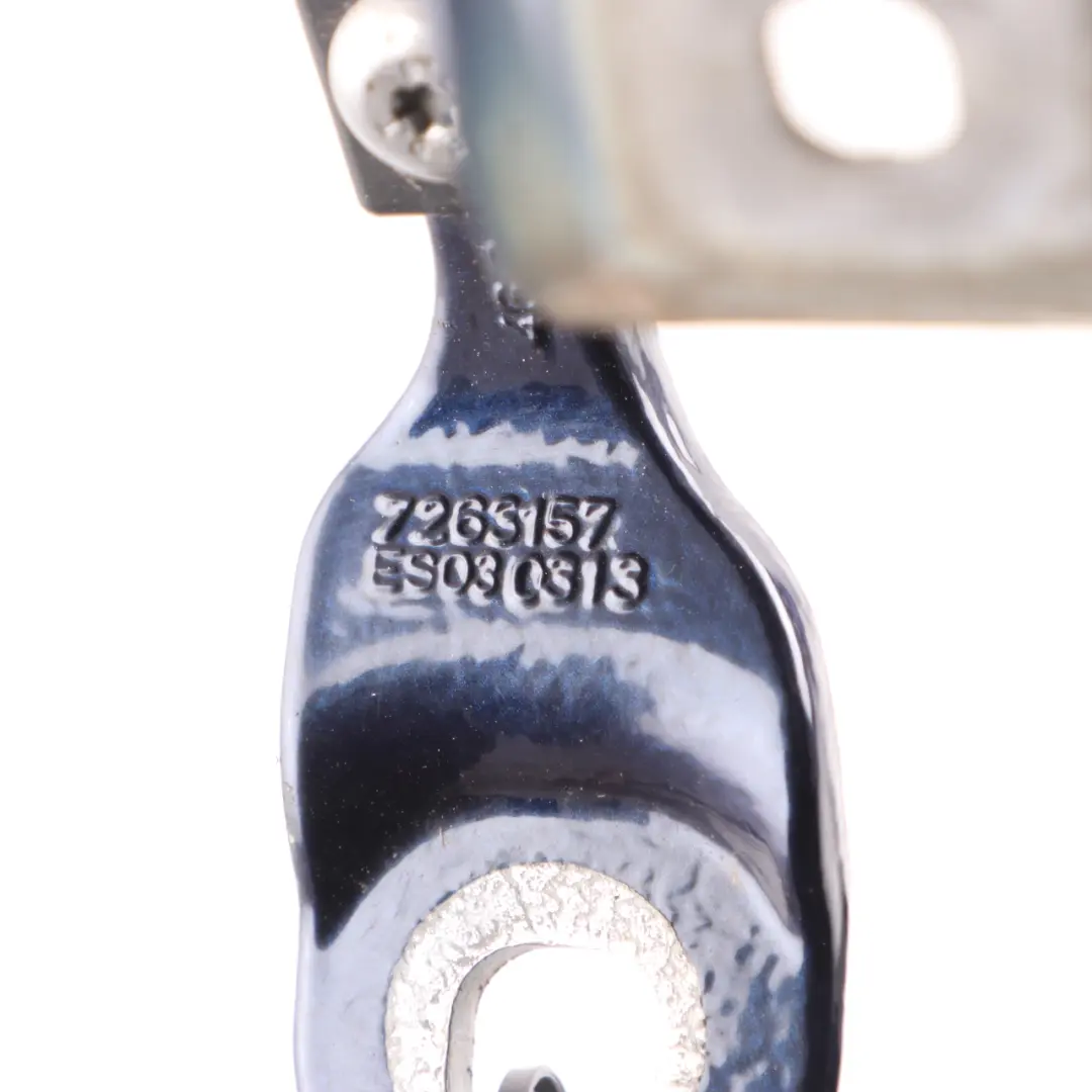 Trunk Lid Tailgate Hinge Rear Left N/S Tanzanite Blue - X10 7263157 to BMW F31 with Part number 7298069 BMW F31 Trunk Lid Tailgate Hinge Rear Left N/S Tanzanite Blue - X10 7263157 - SKU 7298069-TAN - Part number 7298069