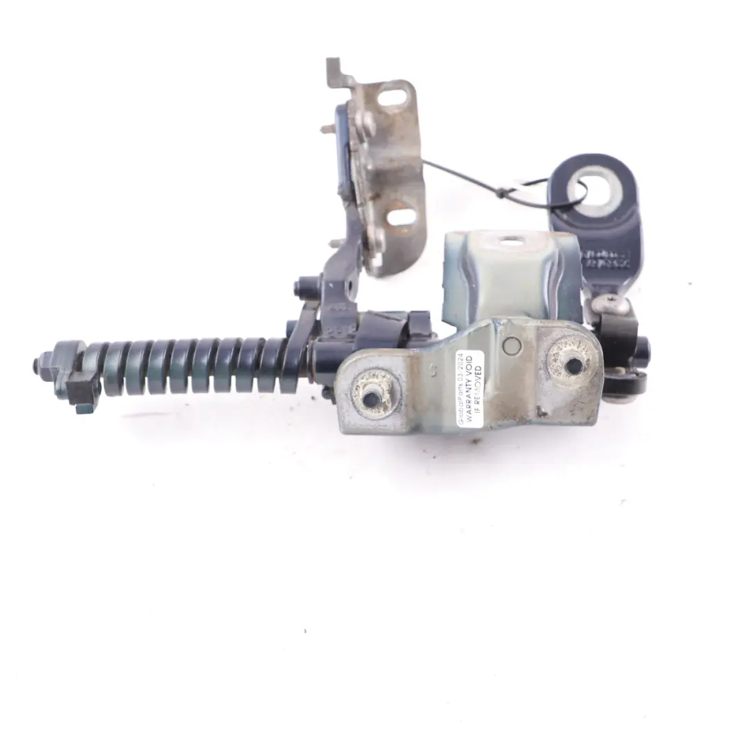 Trunk Lid Tailgate Hinge Rear Left N/S Tanzanite Blue - X10 7263157 to BMW F31 with Part number 7298069 BMW F31 Trunk Lid Tailgate Hinge Rear Left N/S Tanzanite Blue - X10 7263157 - SKU 7298069-TAN - Part number 7298069