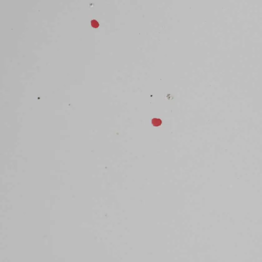 Arrière Droite Glacier Silber Argent Metallic - A83 pour BMW F30 Porte à propos du numéro de pièce 7298514 BMW F30 Porte Arrière Droite Glacier Silber Argent Metallic - A83 - SKU 7298514-GSB2 - Numéro de pièce 7298514