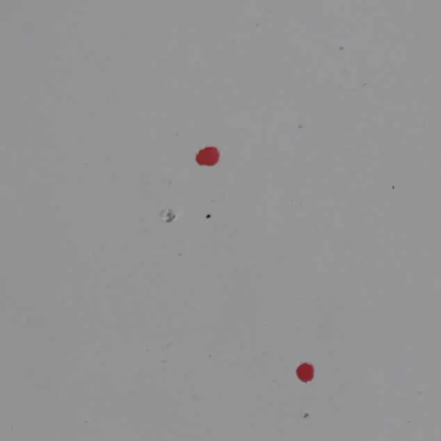 Tür hinten rechts Glacier Silber Silber Metallic - A83 für BMW F30 mit Teilenummer 7298514 BMW F30 Tür hinten rechts Glacier Silber Silber Metallic - A83 - SKU 7298514-GSB2 - Teilenummer 7298514