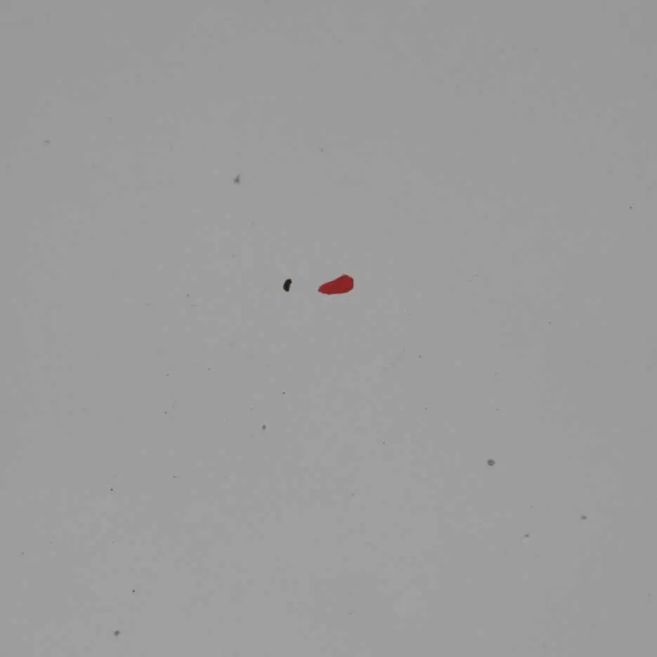 Droite Glacier Silber Silver Metallic - A83 pour BMW F30 F31 Porte Avant à propos du numéro de pièce 7298566 BMW F30 F31 Porte Avant Droite Glacier Silber Silver Metallic - A83 - SKU 7298566-GSB - Numéro de pièce 7298566