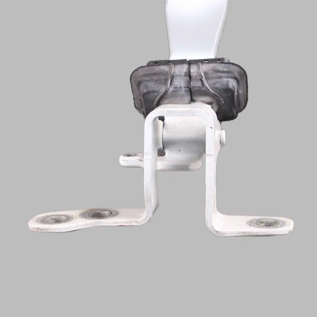 Bisagra maletero Portón trasero izquierdo Alpine White - 300 para BMW X3 F25 con número de pieza 7298703 BMW X3 F25 Bisagra maletero Portón trasero izquierdo Alpine White - 300 - SKU 7298703-AW - Número de pieza 7298703