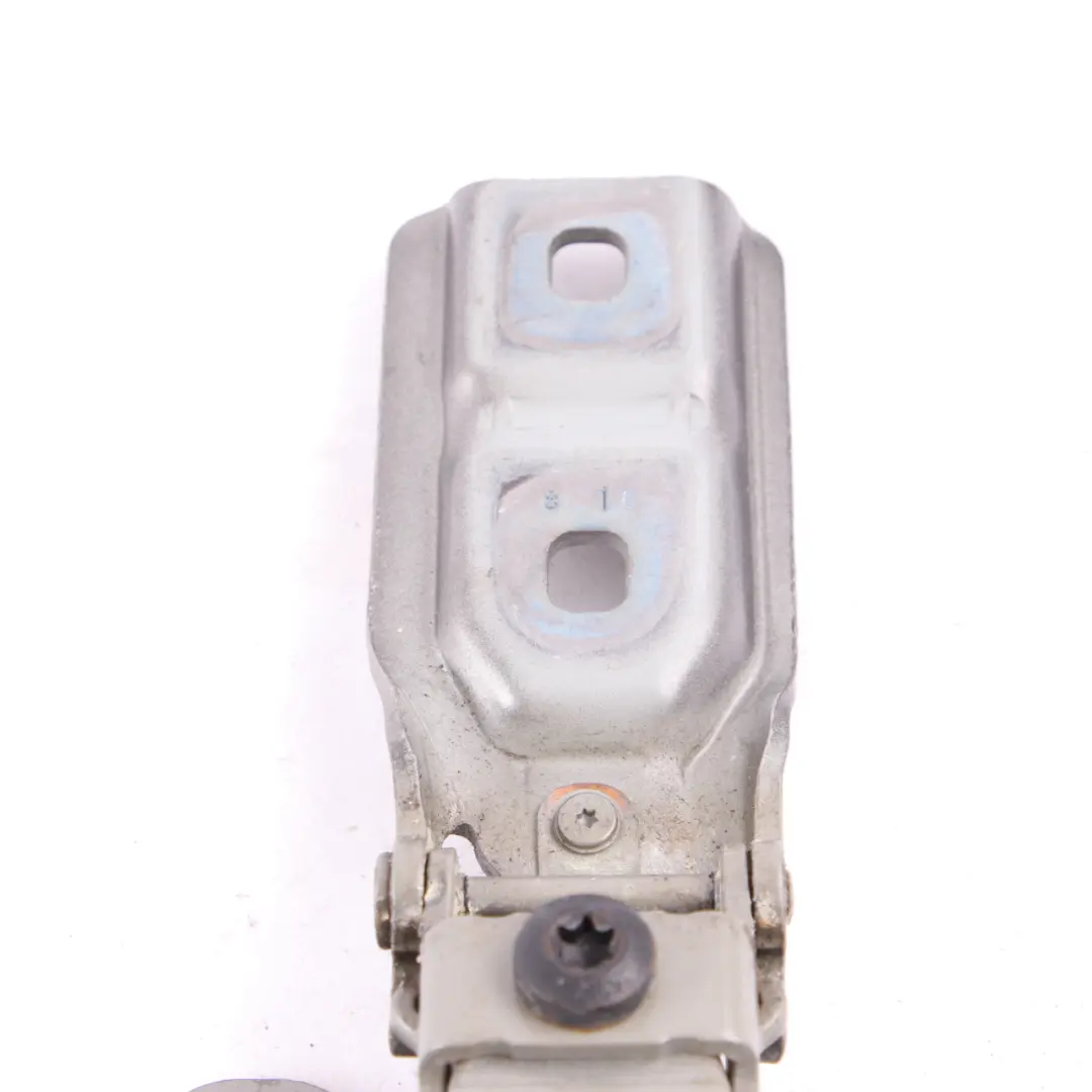 BMW F45 Cerniera Portellone Posteriore Sinistro Argento Platinum C08 - SKU 7300809-PSM - Numero di parte 7300809
