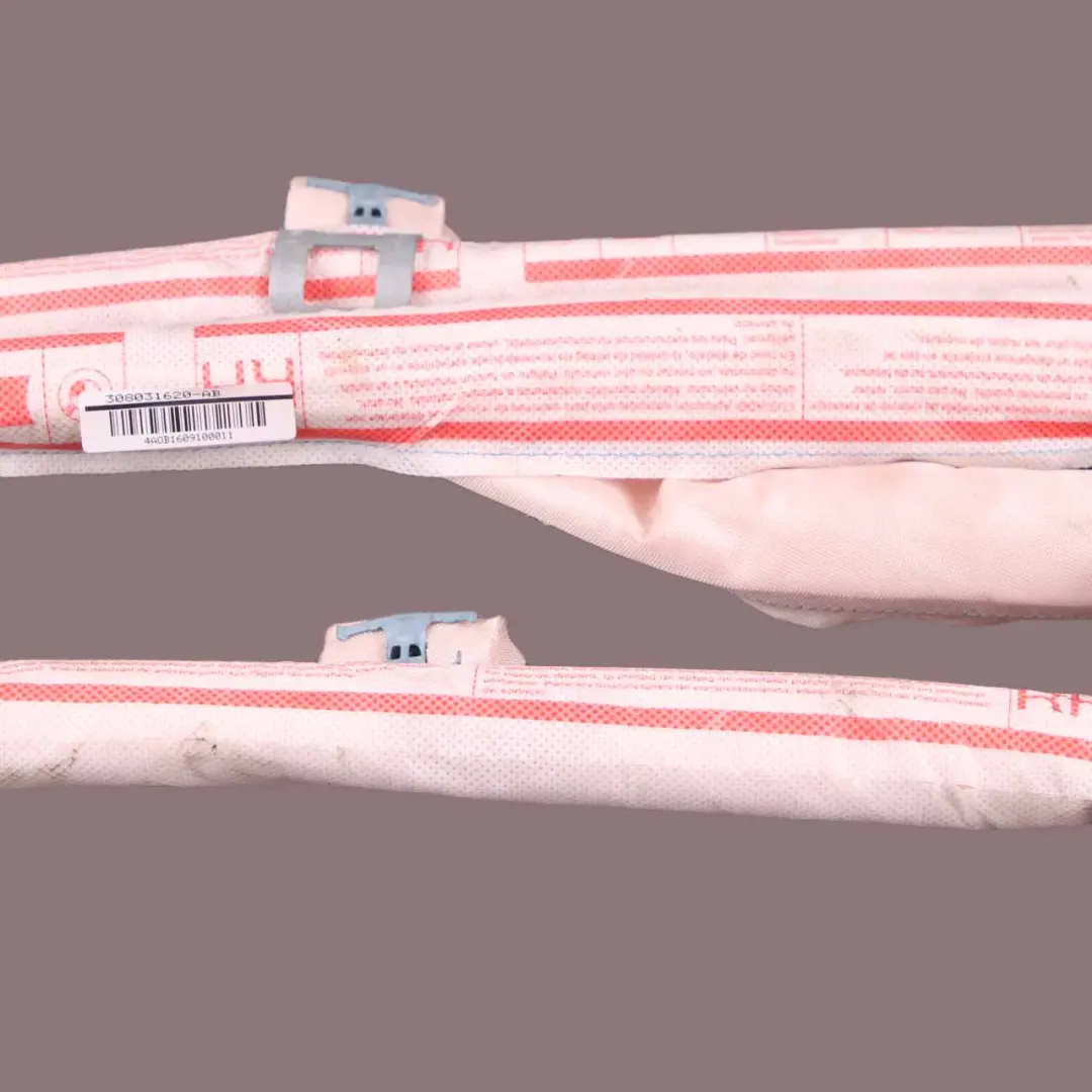BMW F45 Active Tourer Destra Airbag Testa Tenda - SKU 7301296 - Numero di parte 7301296