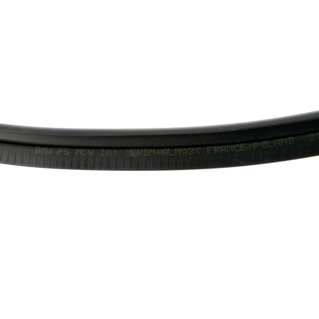 BMW i3 I01Elettrico ibrido posteriore sinistro Porta Canale Guarnizione Striscia - SKU 7301745 - Numero di parte 7301745