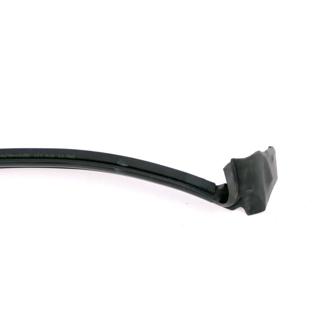 BMW i3 I01 Hybrid Uszczelka Drzwi Lewy Tył - SKU 7301745 - Numer Części 7301745