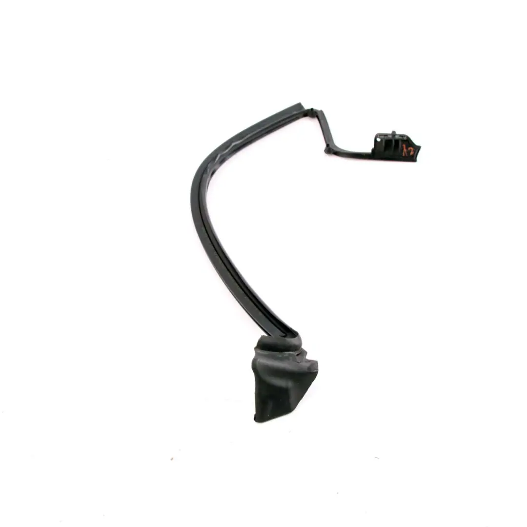 BMW i3 I01 Hybrid Electric Rear Right O/S Door Channel Seal Gasket Strip - SKU 7301746 - Part number 7301746
