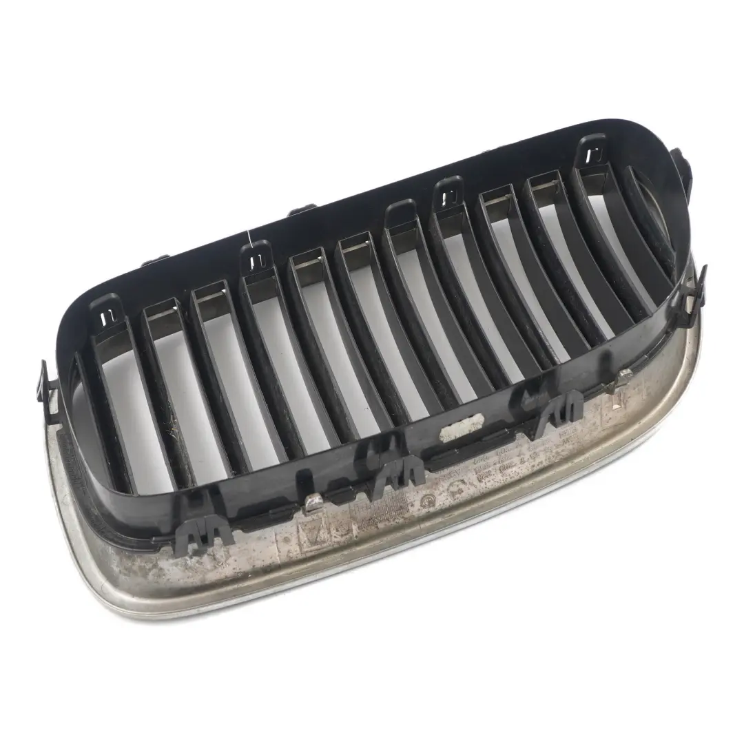 Grille BMW X6 E71 X5 E70 Pare-chocs avant Grille Reinette avant droit pour à propos du numéro de pièce 7305590 Grille BMW X6 E71 X5 E70 Pare-chocs avant Grille Reinette avant droit - SKU 7305590 - Numéro de pièce 7305590
