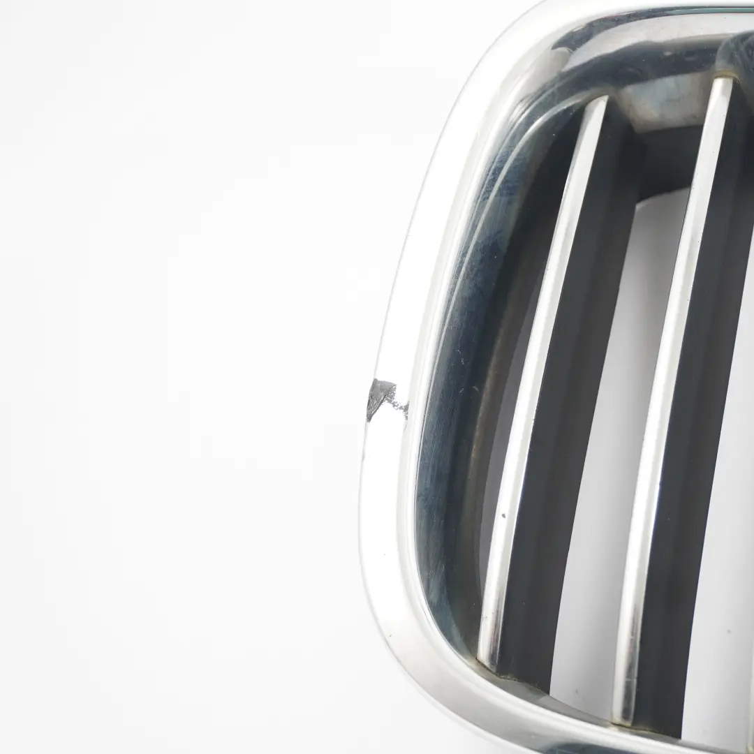 Atrapa Przednia Nerka Prawa Kratka Zderzaka do BMW X6 E71 X5 E70 o numerze 7305590 BMW X6 E71 X5 E70 Atrapa Przednia Nerka Prawa Kratka Zderzaka - SKU 7305590 - Numer Części 7305590