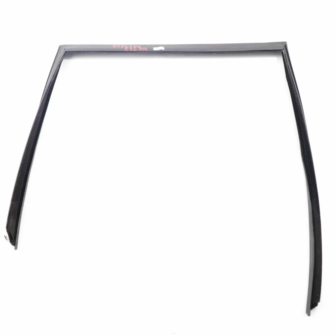 Fensterführung Tür Hinten Rechts für BMW X5 er E70 mit Teilenummer 7305632 BMW X5 er E70 Fensterführung Tür Hinten Rechts - SKU 7305632 - Teilenummer 7305632