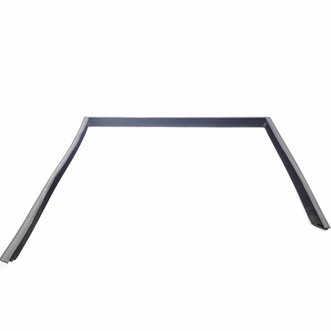 BMW E70 Guia De La ventana De La puerta trasera derecha O / S Seal - SKU 7305632 - Número de pieza 7305632