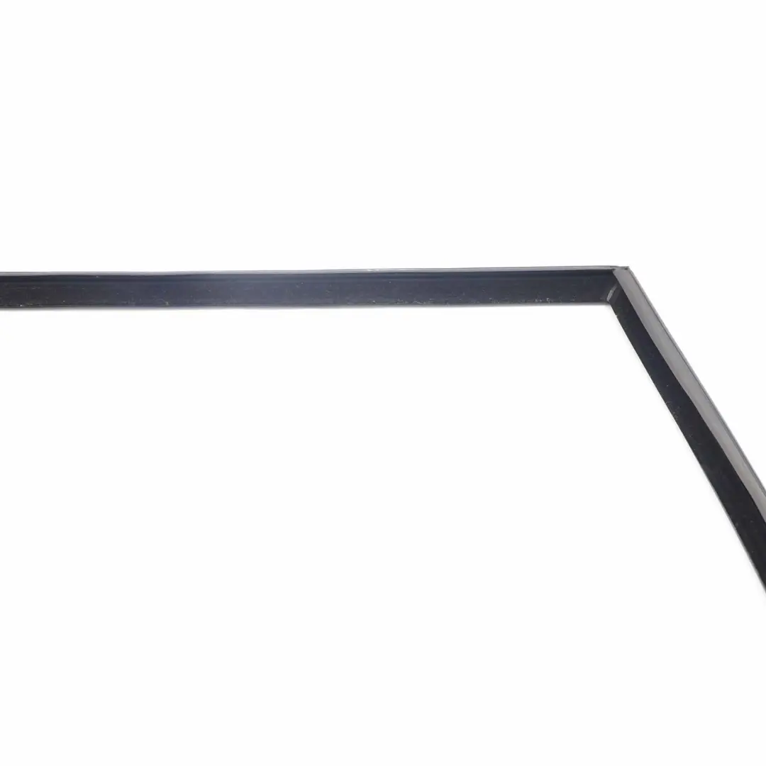 Binario Finestra Portiera Posteriore Destra per BMW X5 E70 con numero di parte 7305632 BMW X5 E70 Binario Finestra Portiera Posteriore Destra - SKU 7305632 - Numero di parte 7305632