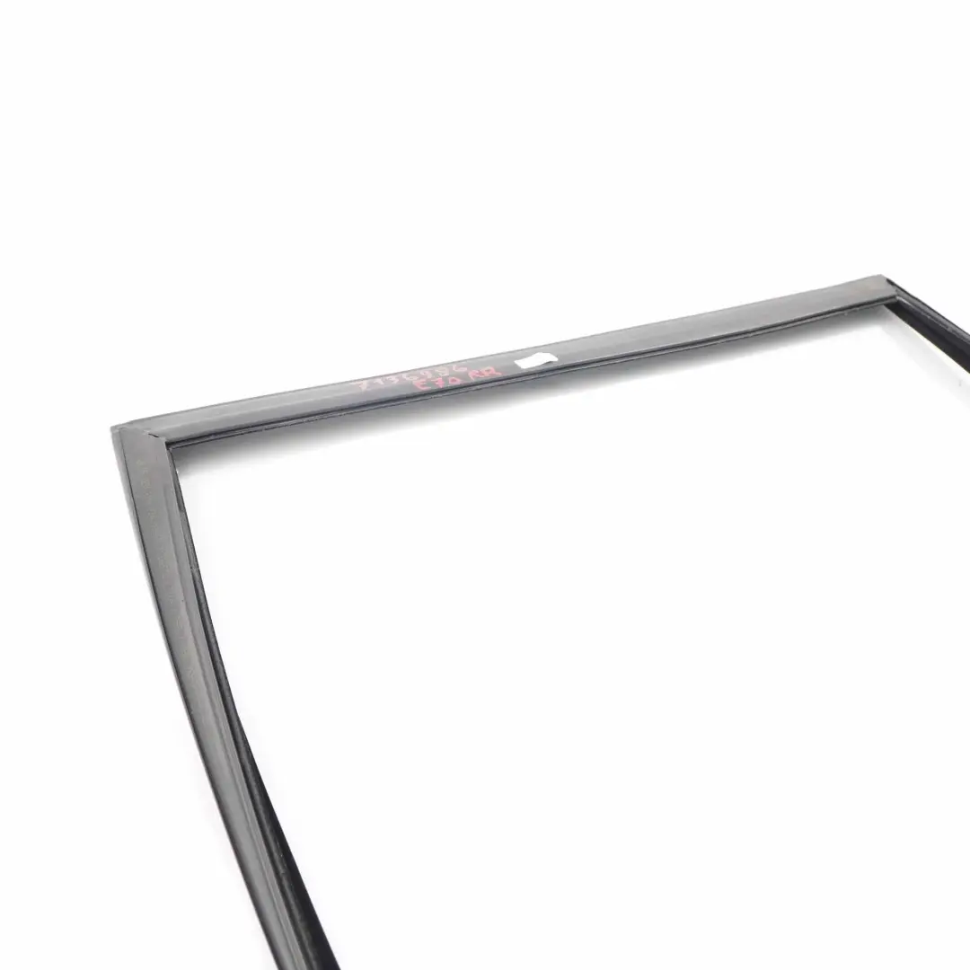 BMW X5 Series E70 Door Window Guide Rear Right O/S Seal - SKU 7305632 - Part number 7305632