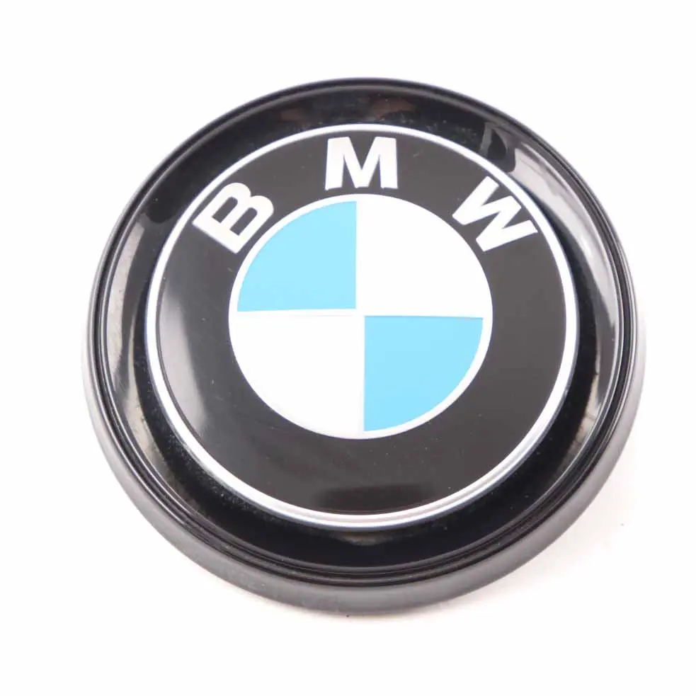 Trunk Lid Emblem Tailgate Badge Logo Rear to BMW i3 I01 with Part number 7306454 BMW i3 I01 Trunk Lid Emblem Tailgate Badge Logo Rear - SKU 7306454 - Part number 7306454