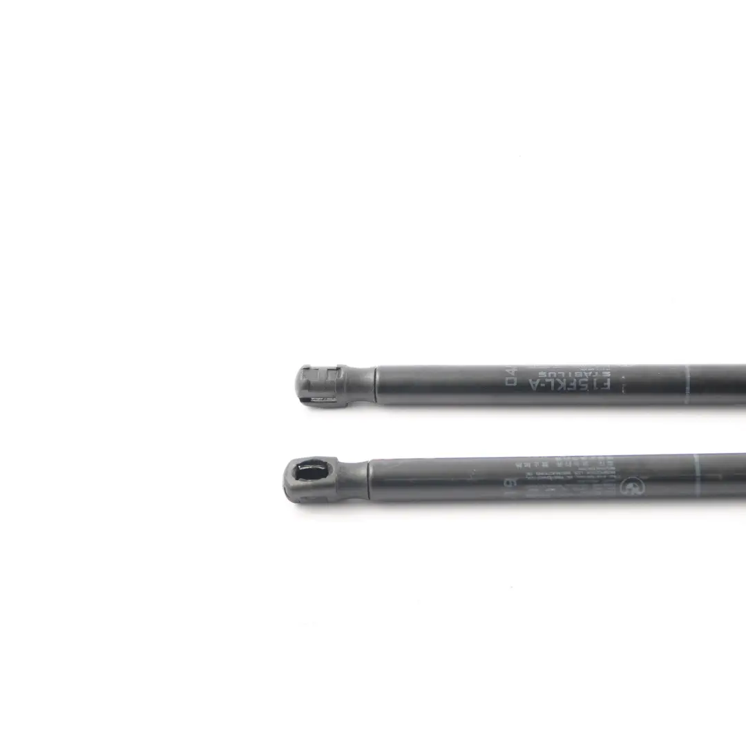 Ressort pression gaz capot Protection gauche droite FGS ensemble pour BMW X5 F15 à propos du numéro de pièce 7308065 BMW X5 F15 Ressort pression gaz capot Protection gauche droite FGS ensemble - SKU 7308065 - Numéro de pièce 7308065