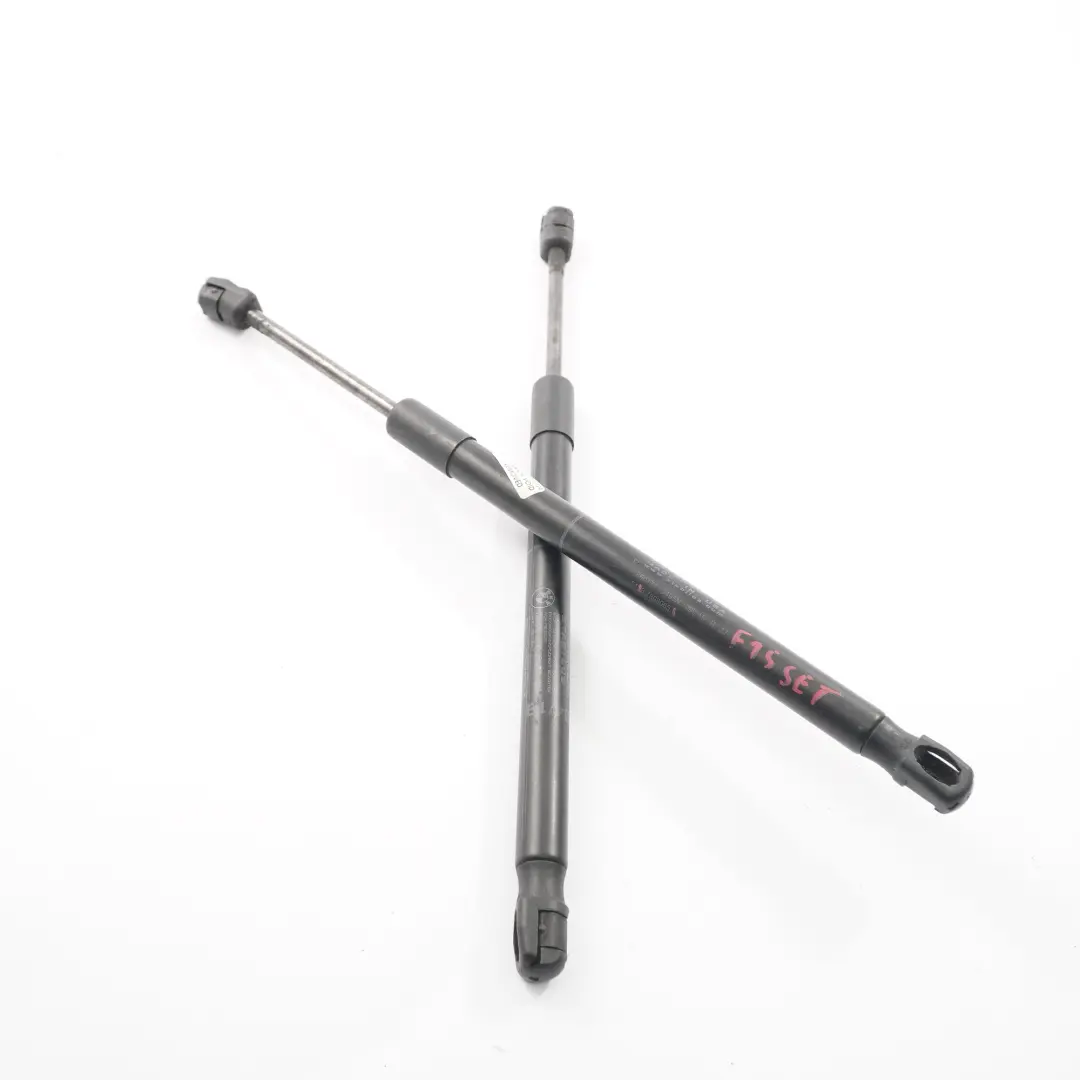 Hood Gas Pressure Spring Left Right Active Protection FGS Set to BMW X5 F15 X6 F16 with Part number 7308065 BMW X5 F15 X6 F16 Hood Gas Pressure Spring Left Right Active Protection FGS Set - SKU 7308065 - Part number 7308065