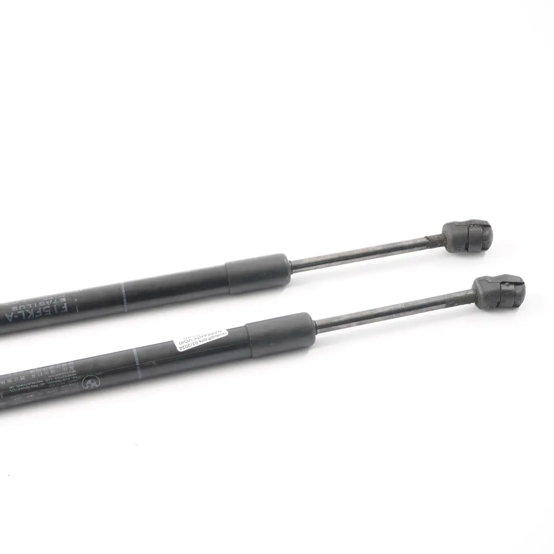 BMW X5 F15 X6 F16 Hood Gas Pressure Spring Left Right Active Protection FGS Set - SKU 7308065 - Part number 7308065