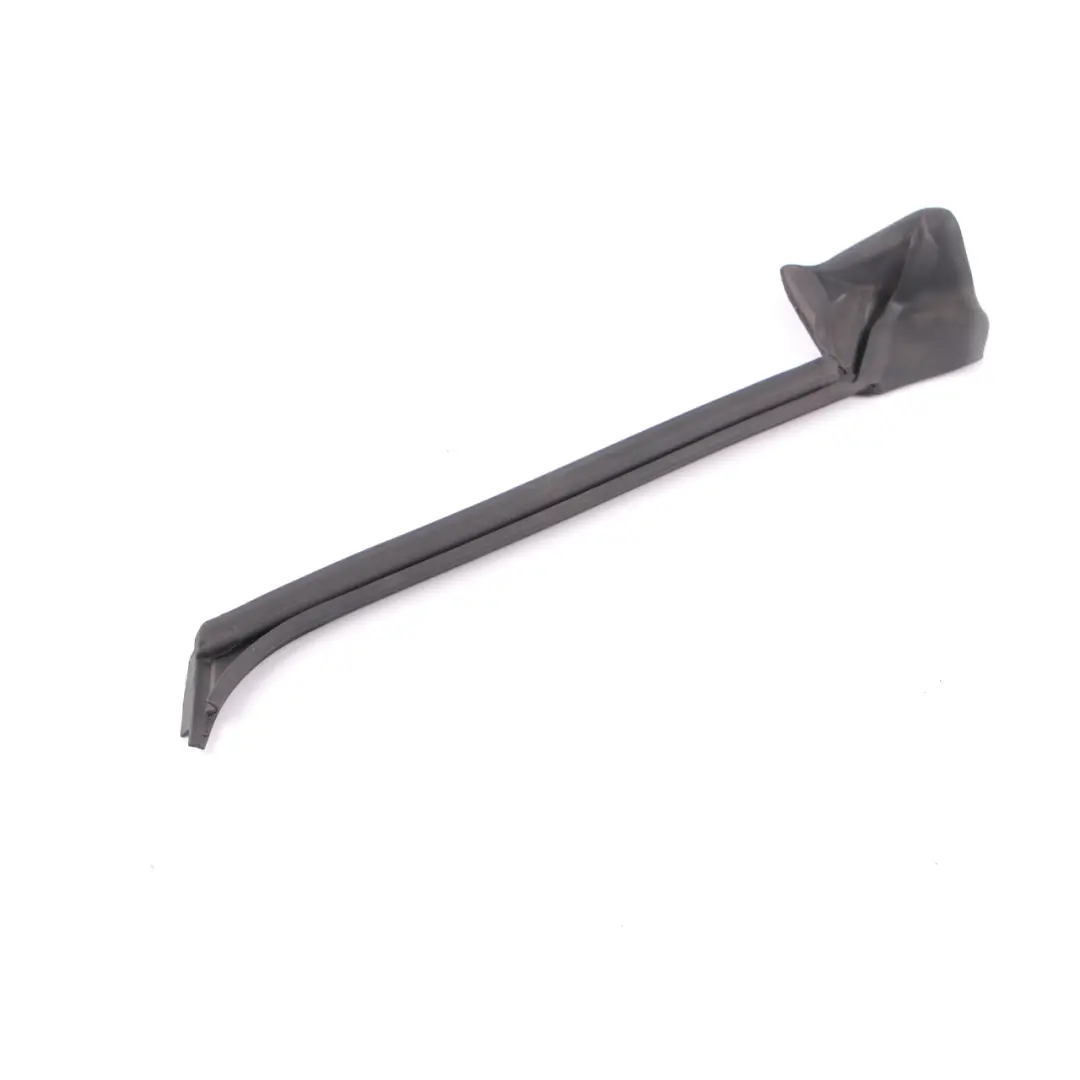 BMW F36 Gran Coupé Guarnizione Finestra C Colonna Porta Posteriore Sinistra - SKU 7310191 - Numero di parte 7310191