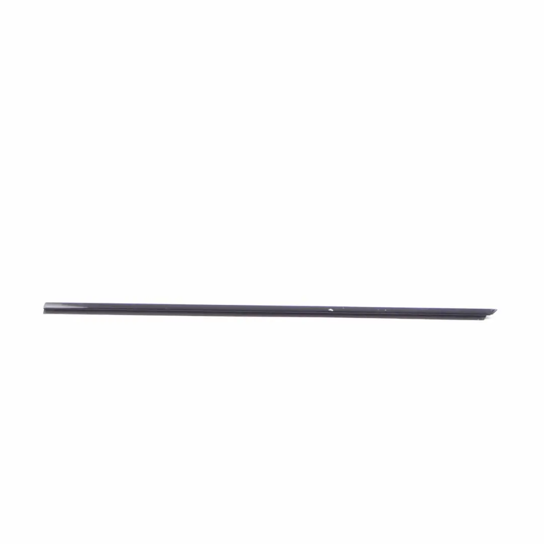 BMW F36 Canal Tapa Tira Puerta Delantera Izquierda Tapa Exterior Negro - SKU 7310205 - Número de pieza 7310205