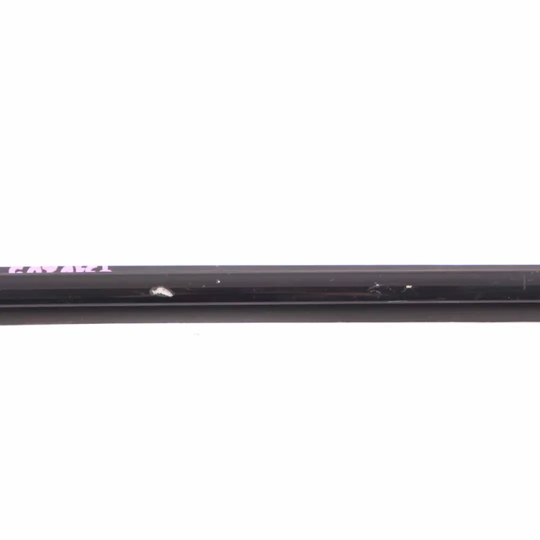 BMW F36 Striscia copertura canale porta anteriore sinistra copertura esterna - SKU 7310205 - Numero di parte 7310205