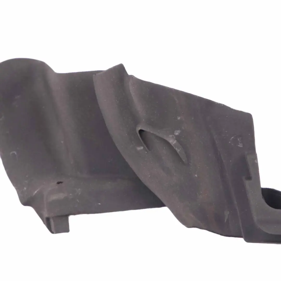 Door Weatherstrip Rear Left N/S Window Finisher Strip Seal to BMW F36 with Part number 7310207 BMW F36 Door Weatherstrip Rear Left N/S Window Finisher Strip Seal - SKU 7310207 - Part number 7310207