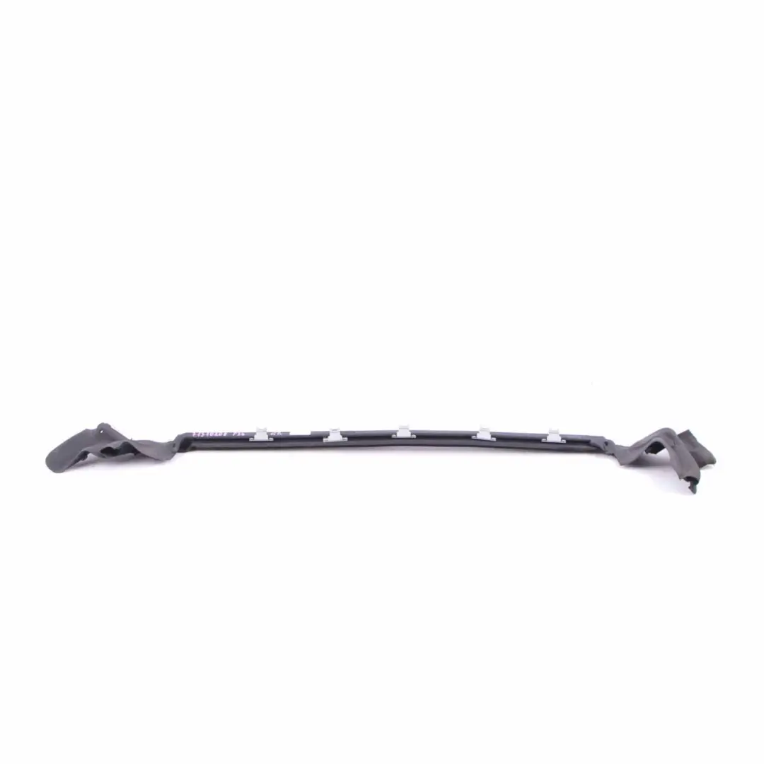 BMW F36 Door Weatherstrip Rear Right O/S Window Finisher Strip Seal - SKU 7310208 - Part number 7310208