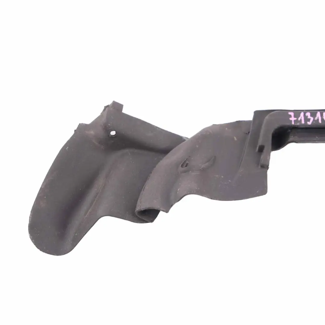 BMW F36 Burlete Puerta Trasera Derecha Ventana Acabado Tira Sello - SKU 7310208 - Número de pieza 7310208