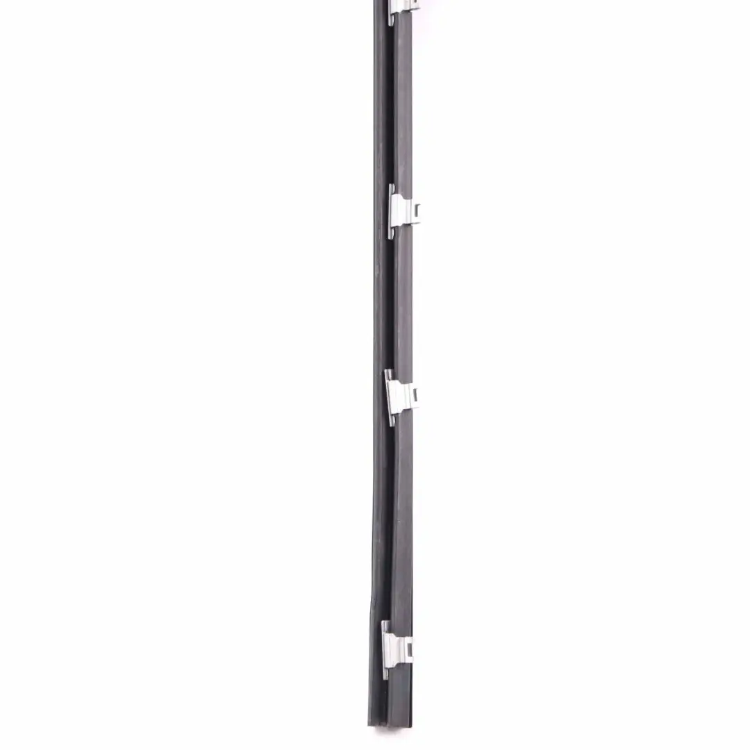  Canal Selado BMW F36 Interior Puerta Delantera Izquierda Embelecedo Tira - SKU 7310211 - Número de pieza 7310211