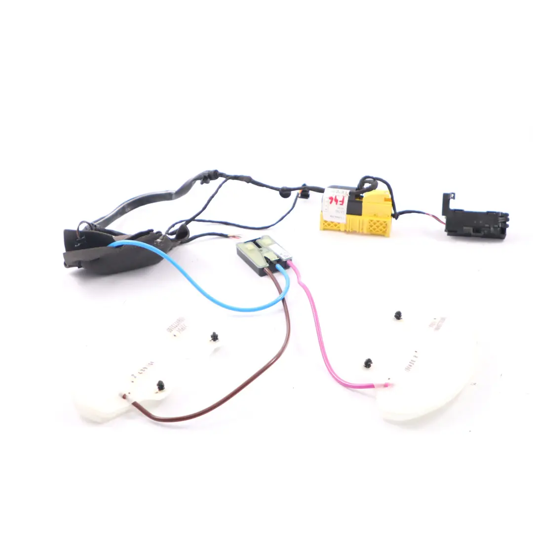 BMW F46 X1 F48 Sedile anteriore Cuscinetto lordosi Supporto lombare - SKU 7310991-1 - Numero di parte 7310991