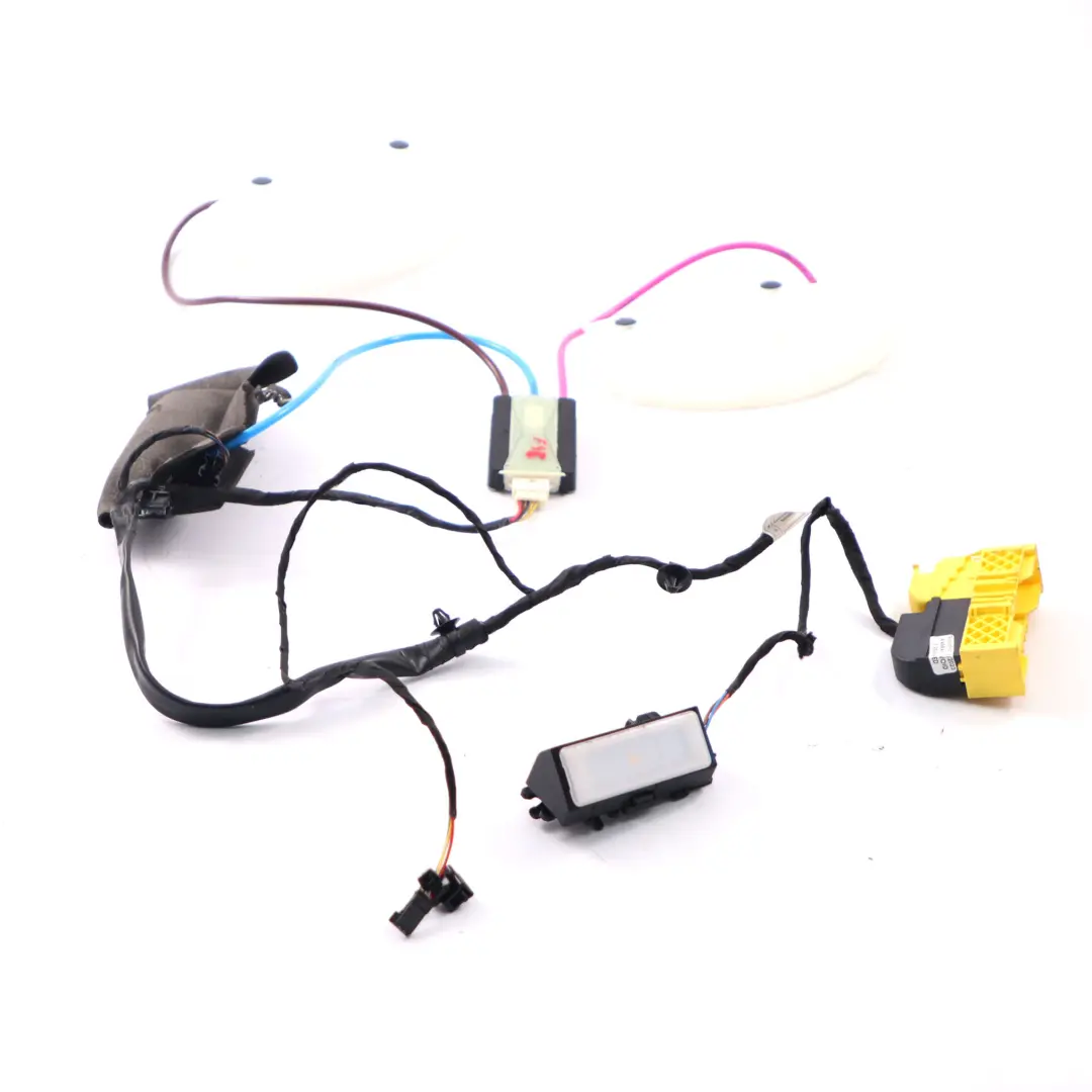 BMW F46 X1 F48 Vorder sitz Lordosekissen Lendenwirbelstütze - SKU 7310991-1 - Teilenummer 7310991