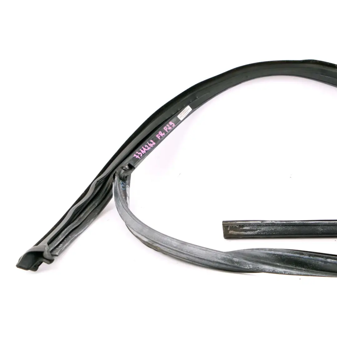 Junta Puerta Guía Ventana Delantera Derecha Sellado para BMW X3 F25 con número de pieza 7311262 BMW X3 F25 Junta Puerta Guía Ventana Delantera Derecha Sellado - SKU 7311262 - Número de pieza 7311262