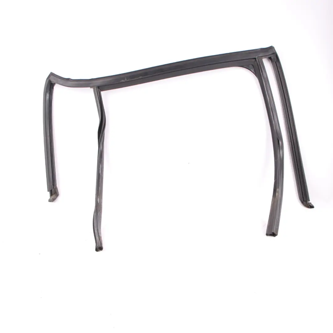 Guida finestrino posteriore sinistro Porta Guarnizione tenuta per BMW X3 F25 con numero di parte 7311263 BMW X3 F25 Guida finestrino posteriore sinistro Porta Guarnizione tenuta - SKU 7311263 - Numero di parte 7311263