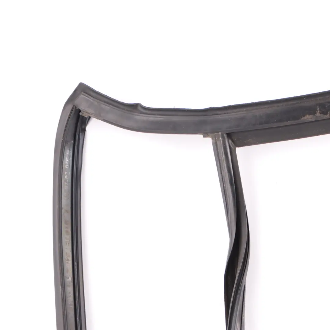 BMW X3 F25 Guida finestrino posteriore sinistro Porta Guarnizione tenuta - SKU 7311263 - Numero di parte 7311263