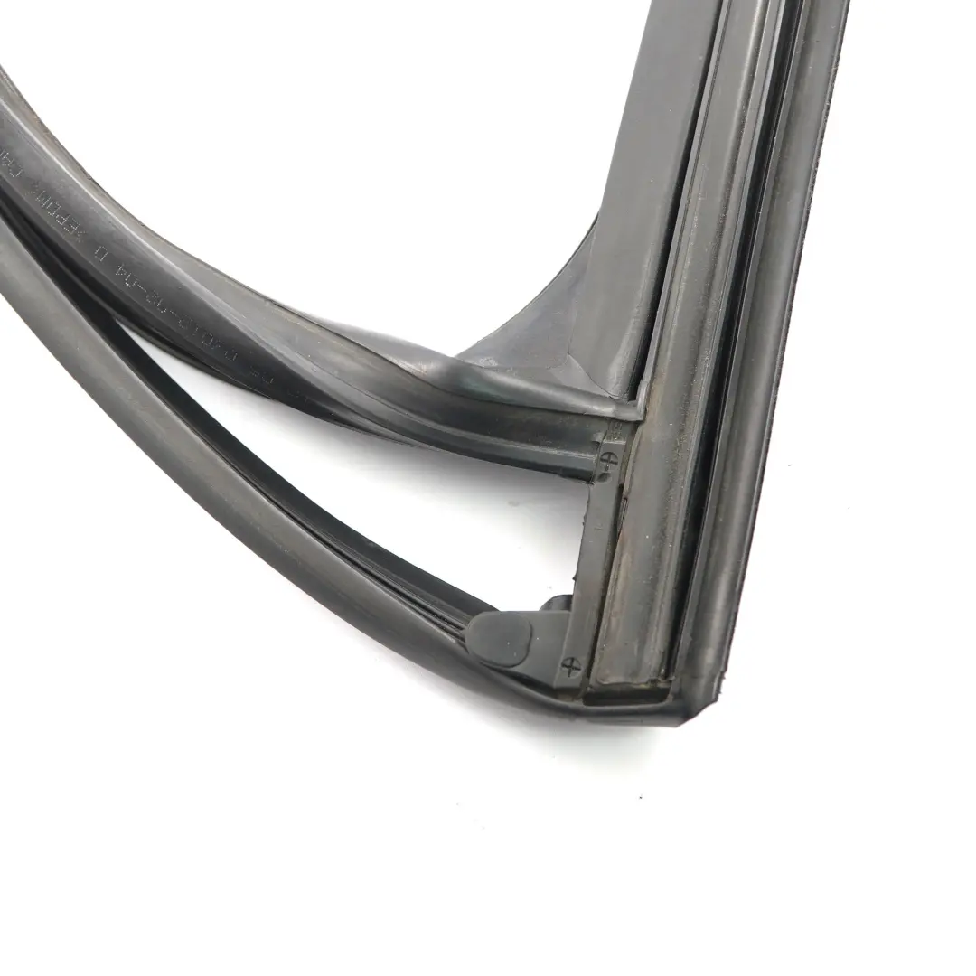 Guida finestrino posteriore destro Porta Guarnizione tenuta per BMW X3 F25 con numero di parte 7311264 BMW X3 F25 Guida finestrino posteriore destro Porta Guarnizione tenuta - SKU 7311264 - Numero di parte 7311264