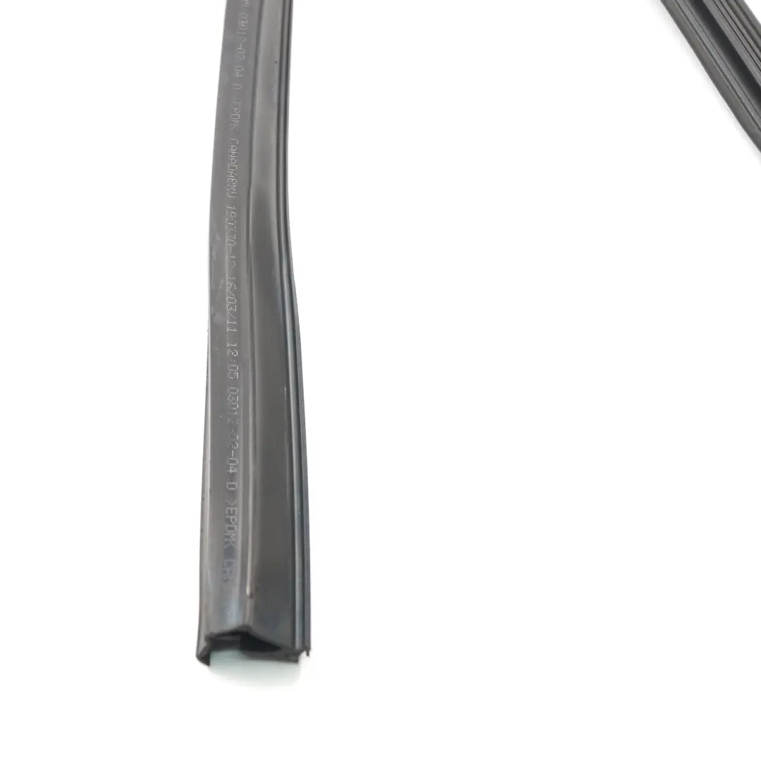 Guida finestrino posteriore destro Porta Guarnizione tenuta per BMW X3 F25 con numero di parte 7311264 BMW X3 F25 Guida finestrino posteriore destro Porta Guarnizione tenuta - SKU 7311264 - Numero di parte 7311264