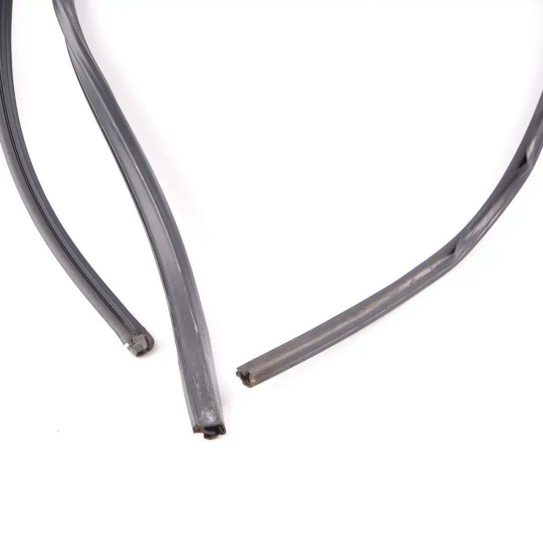 BMW X3 F25 Guarnizione Porta Finestra Guida Posteriore Sinistra - SKU 7311265 - Numero di parte 7311265