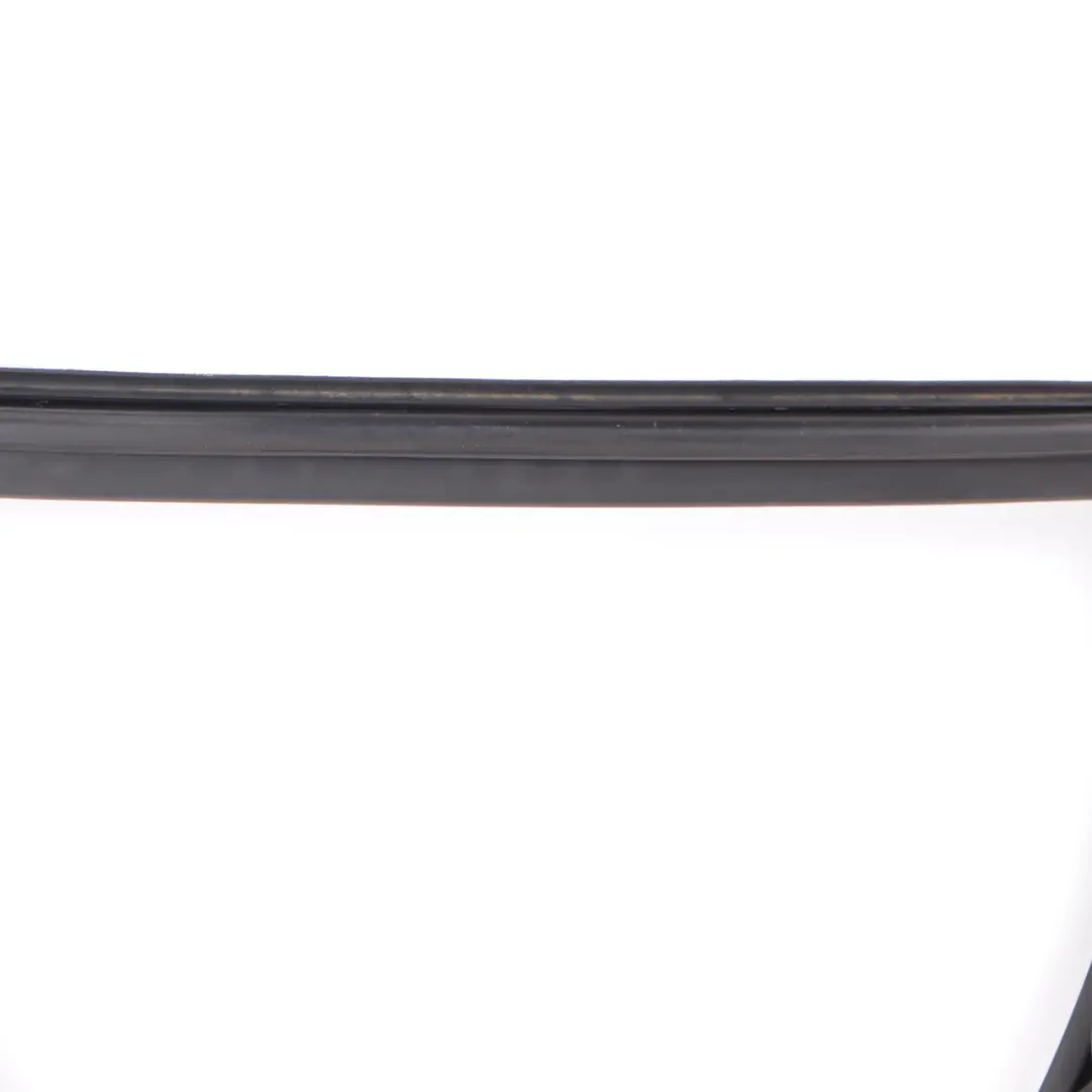 BMW X3 F25 Guarnizione Porta Finestra Guida Posteriore Sinistra - SKU 7311265 - Numero di parte 7311265