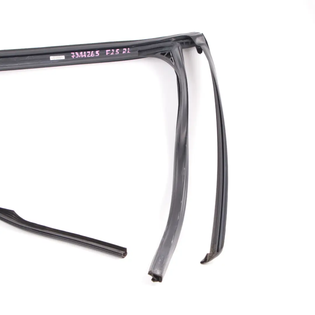 Guarnizione Porta Finestra Guida Posteriore Sinistra per BMW X3 F25 con numero di parte 7311265 BMW X3 F25 Guarnizione Porta Finestra Guida Posteriore Sinistra - SKU 7311265 - Numero di parte 7311265