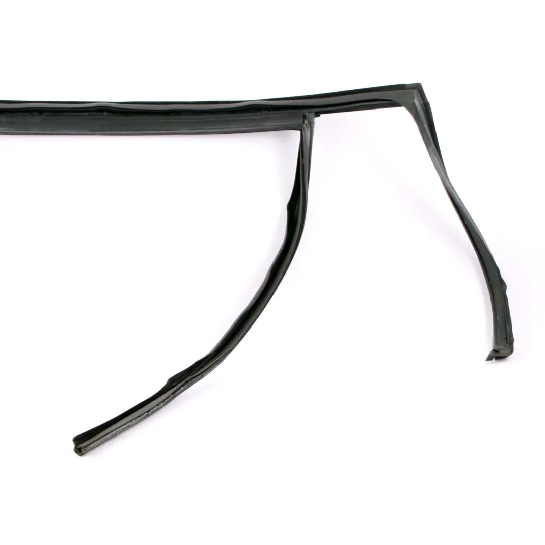  Türdichtung BMW X3 F25 Fensterführung Hinten Rechts O/S Abdichtung - SKU 7311266 - Teilenummer 7311266