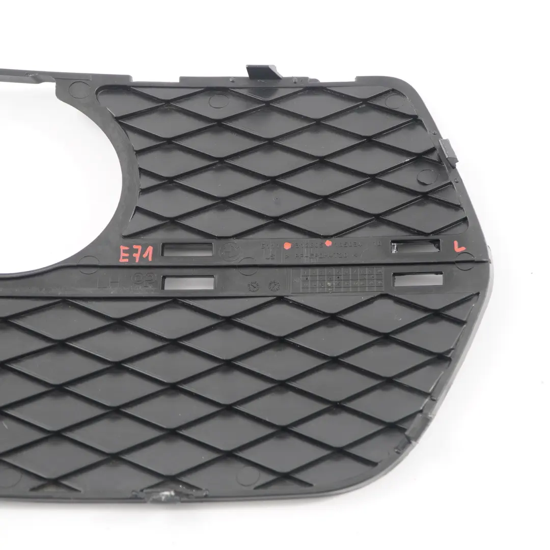 BMW X6 E71 Front Bumper Grille Grid Cover Fog Light Lamp Left N/S - SKU 7312605 - Part number 7312605