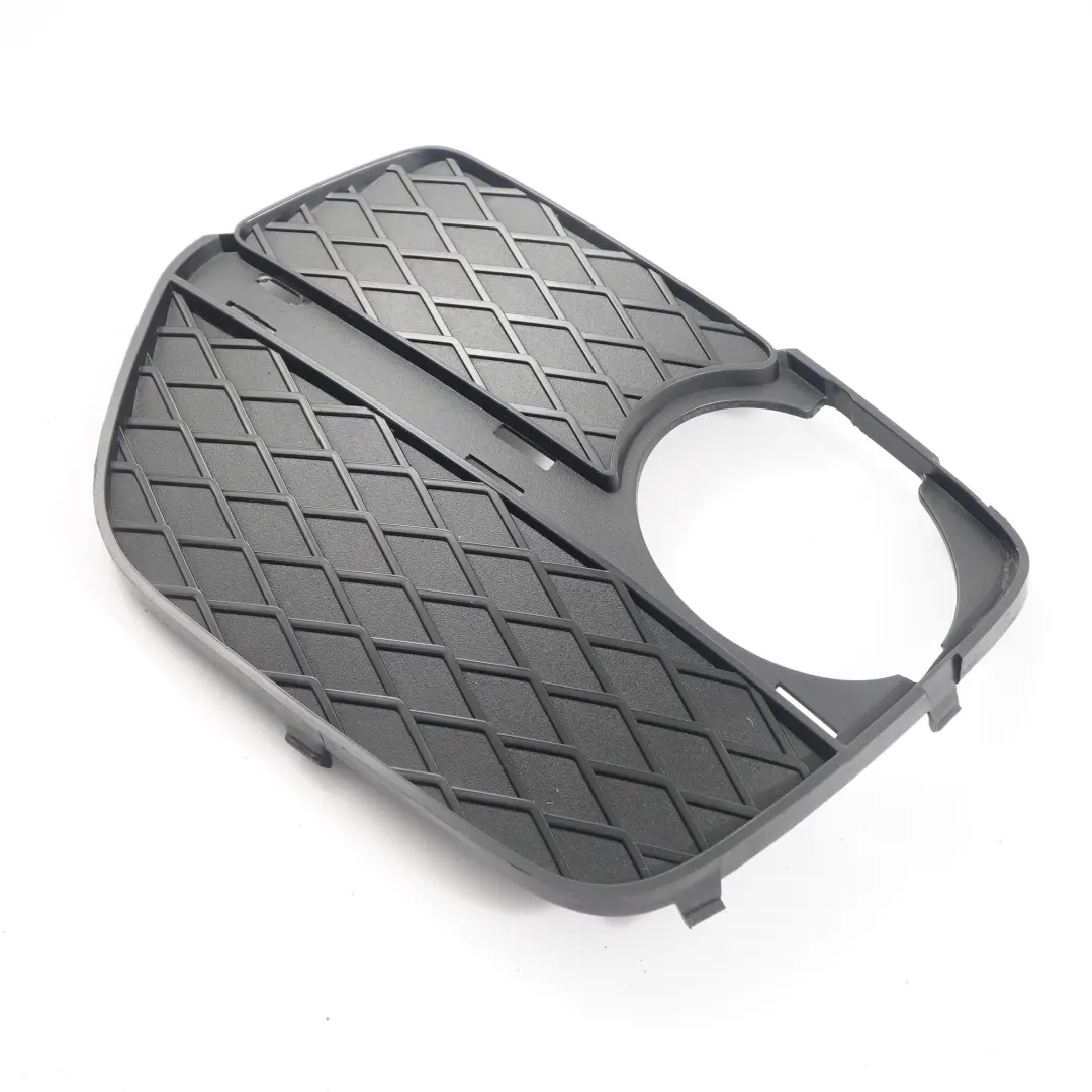 BMW X6 E71 Front Bumper Grille Grid Cover Fog Light Lamp Left N/S - SKU 7312605 - Part number 7312605