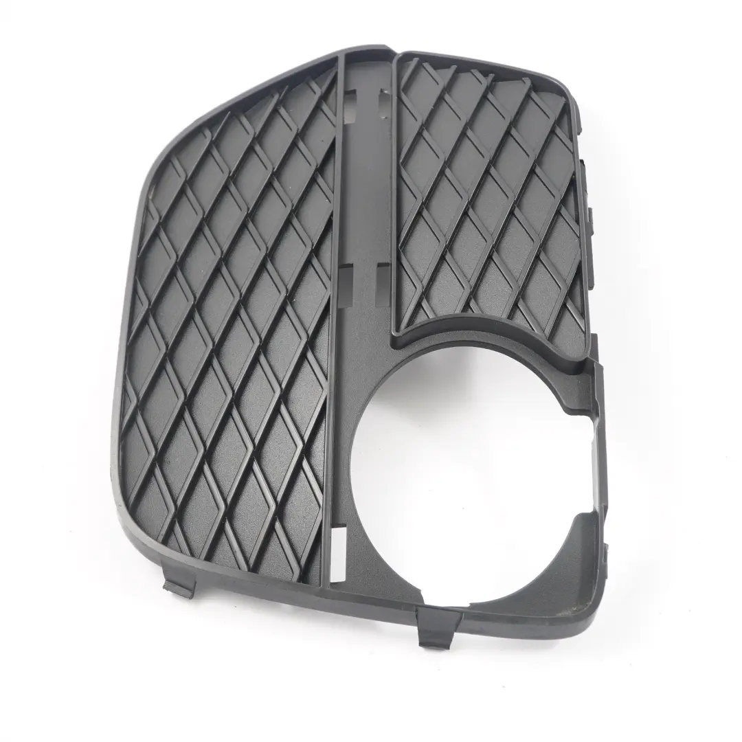 Pare-chocs avant Cache-grille Lampe antibrouillard gauche pour BMW X6 E71 à propos du numéro de pièce 7312605 BMW X6 E71 Pare-chocs avant Cache-grille Lampe antibrouillard gauche - SKU 7312605 - Numéro de pièce 7312605