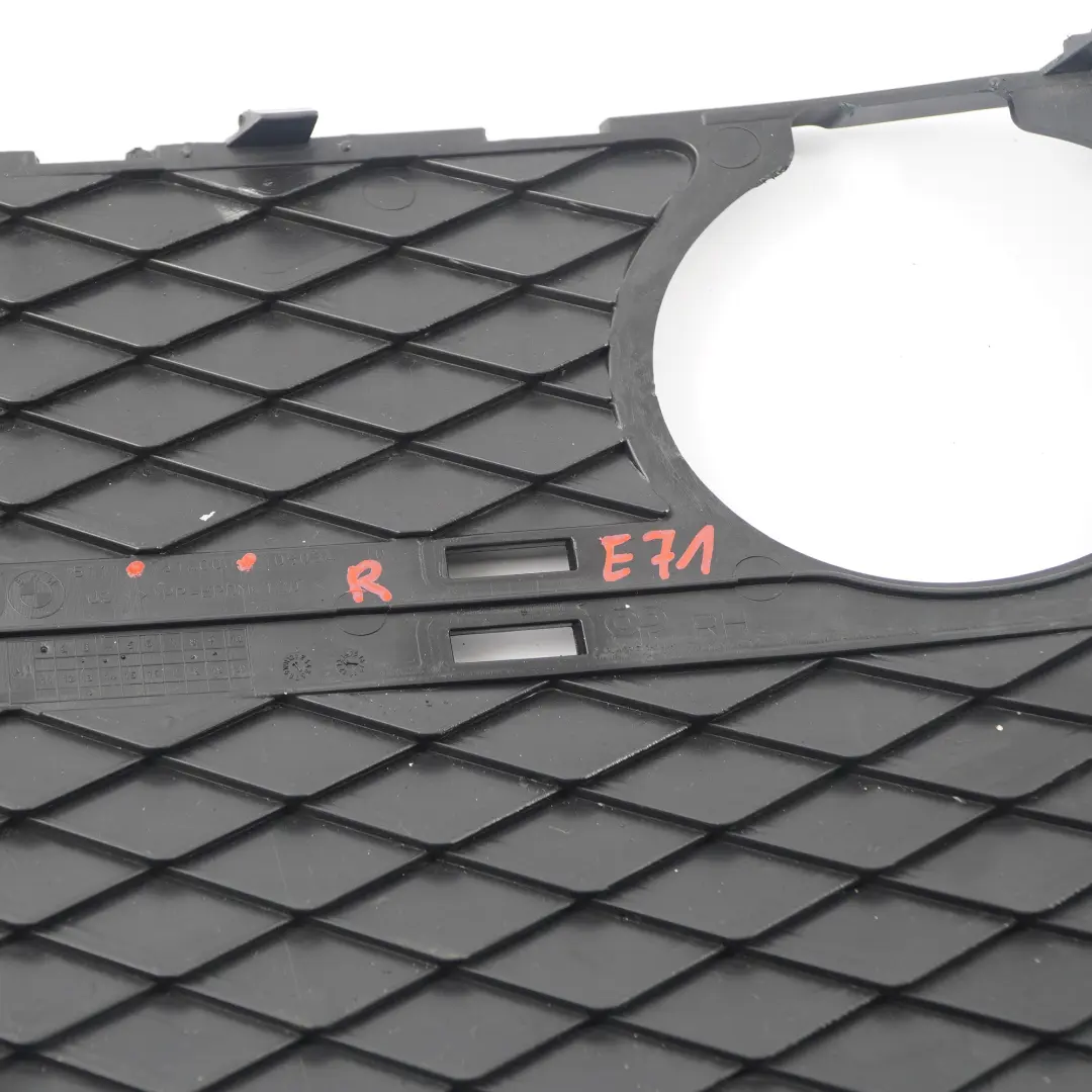BMW X6 E71 Front Bumper Grille Grid Cover Fog Light Lamp Right O/S - SKU 7312606 - Part number 7312606