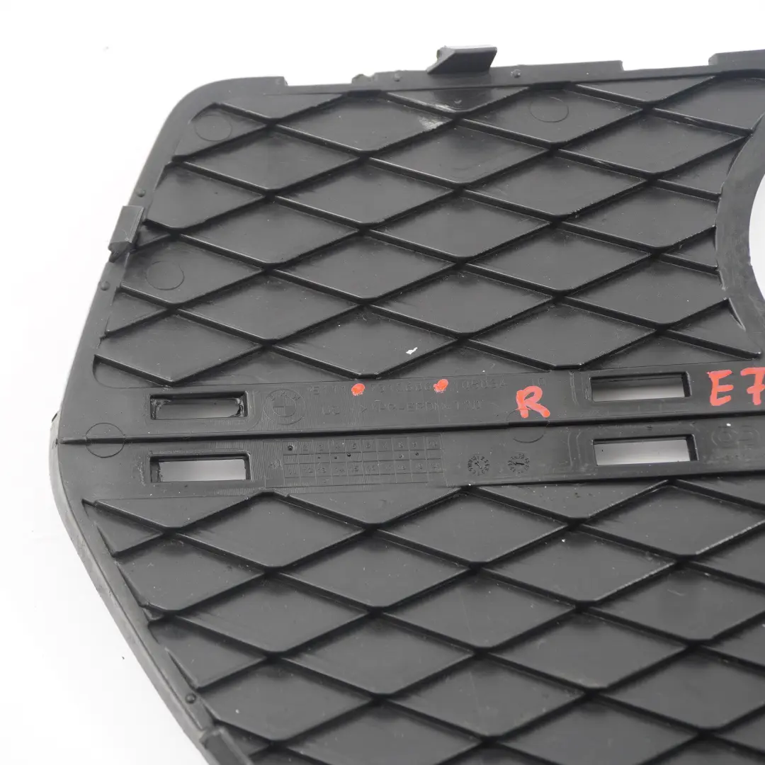 Paraurti anteriore Griglia Copertura Fendinebbia Destra per BMW X6 E71 con numero di parte 7312606 BMW X6 E71 Paraurti anteriore Griglia Copertura Fendinebbia Destra - SKU 7312606 - Numero di parte 7312606