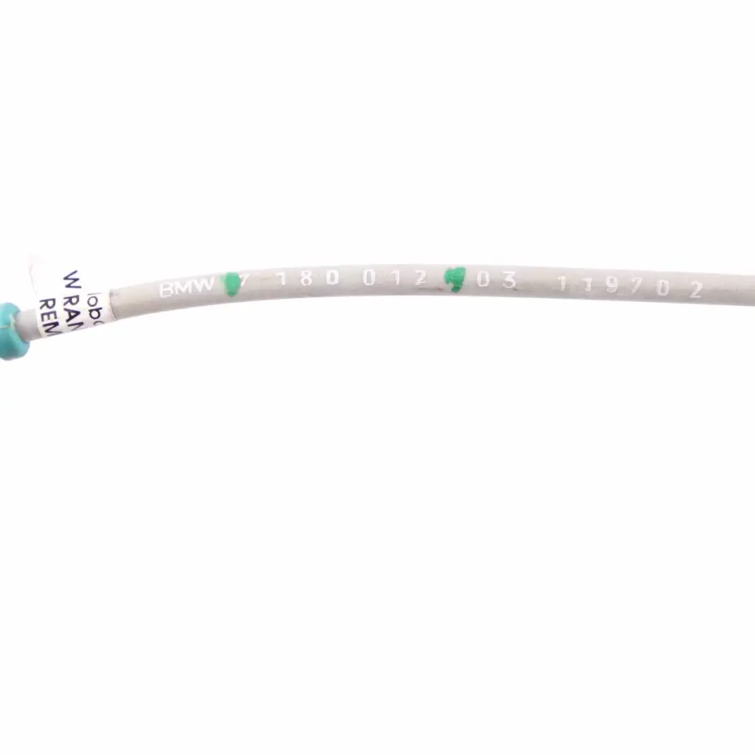 BMW X6 E71 Cable Puerta Abridor Cableado Delantero Izquierdo Derecho 7180012 - SKU 7317561 - Número de pieza 7317561