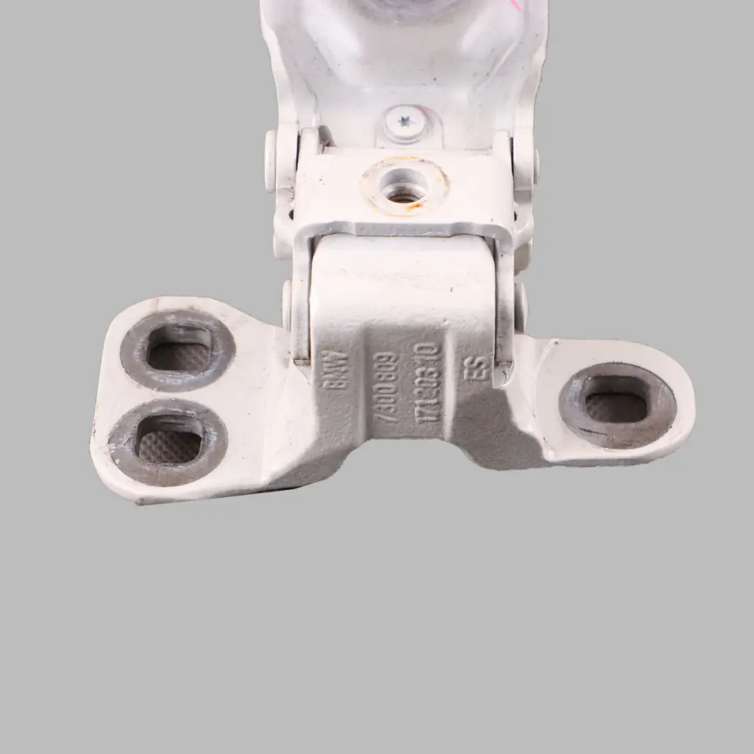 BMW F45 Charnière Hayon Coffre Arrière Gauche Blanc Alpin 300 7300809 - SKU 7317769-AW - Numéro de pièce 7317769