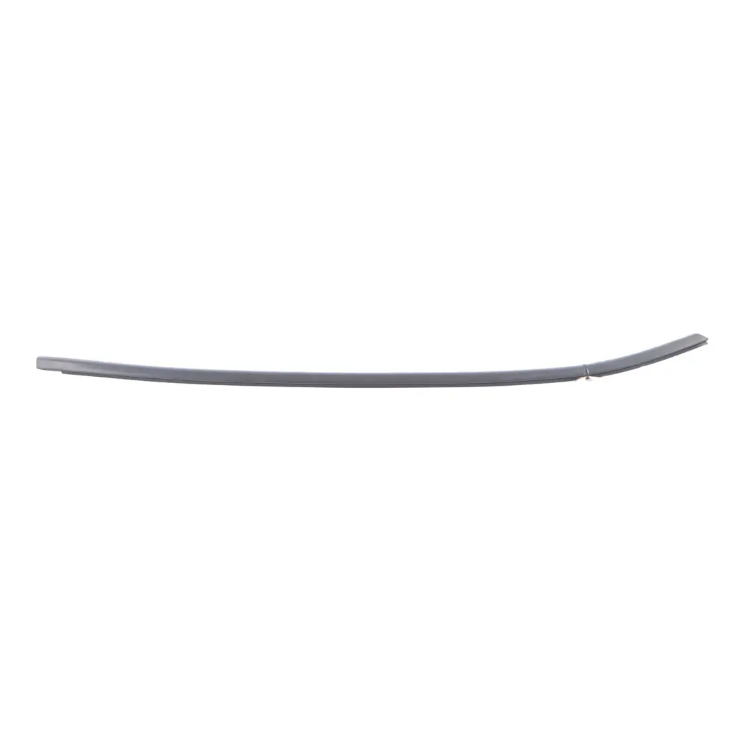 BMW X3 F25 Front Door Weather Strip Seal Outer Channel Cover Right O/S - SKU 7317906 - Part number 7317906