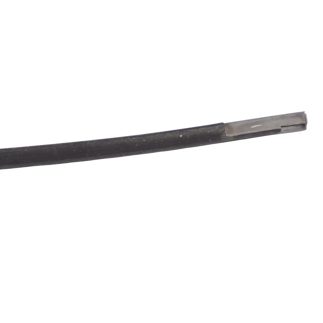 BMW X3 F25 Front Door Weather Strip Seal Outer Channel Cover Right O/S - SKU 7317906 - Part number 7317906